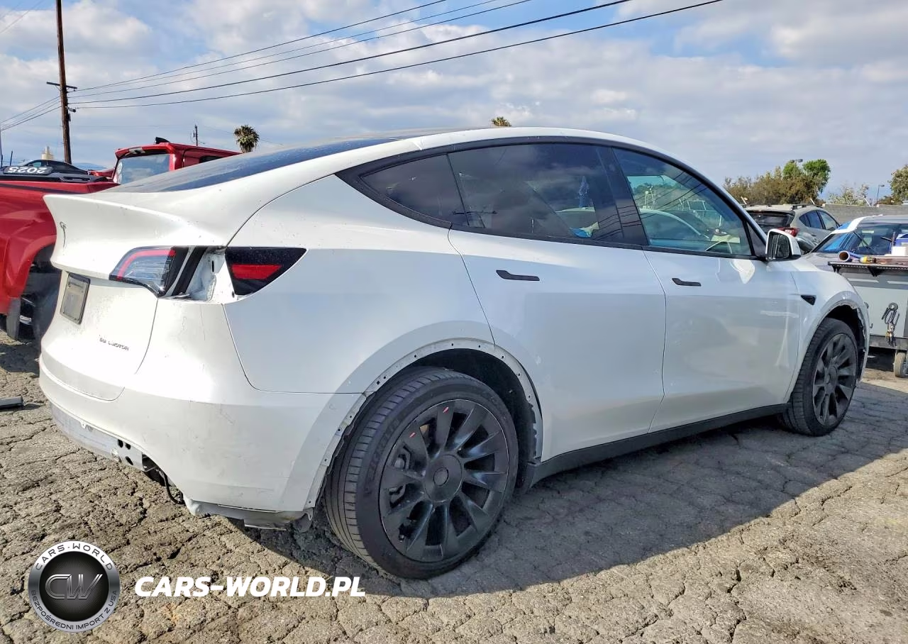 2023 Tesla Model Y VIN:7SAYGDEE3PA030678 - 3