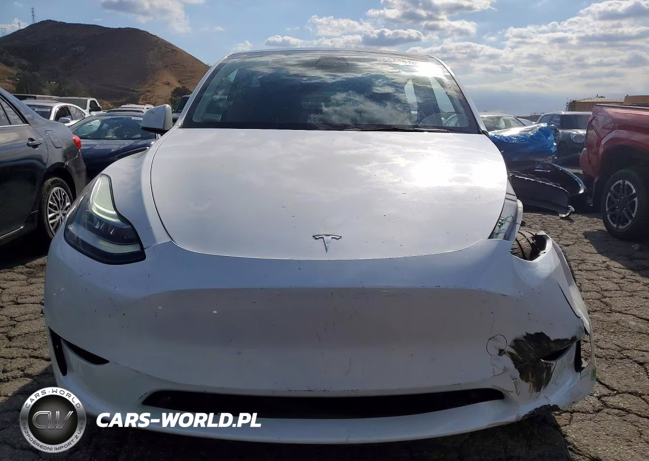 2023 Tesla Model Y VIN:7SAYGDEE3PA030678 - 5