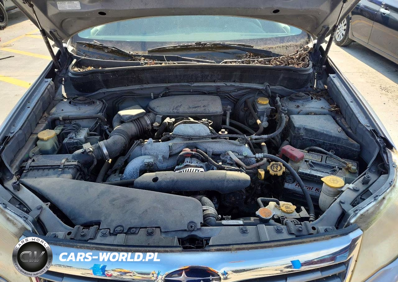 2010 Subaru Forester 2.5X Premium VIN:JF2SH6CCXAH720551 - 12