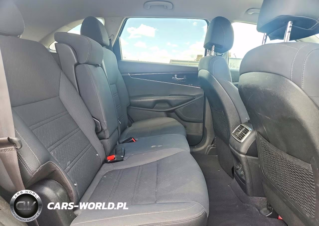 2017 Kia Sorento Lx V6 VIN:5XYPG4A59HG225115 - 10