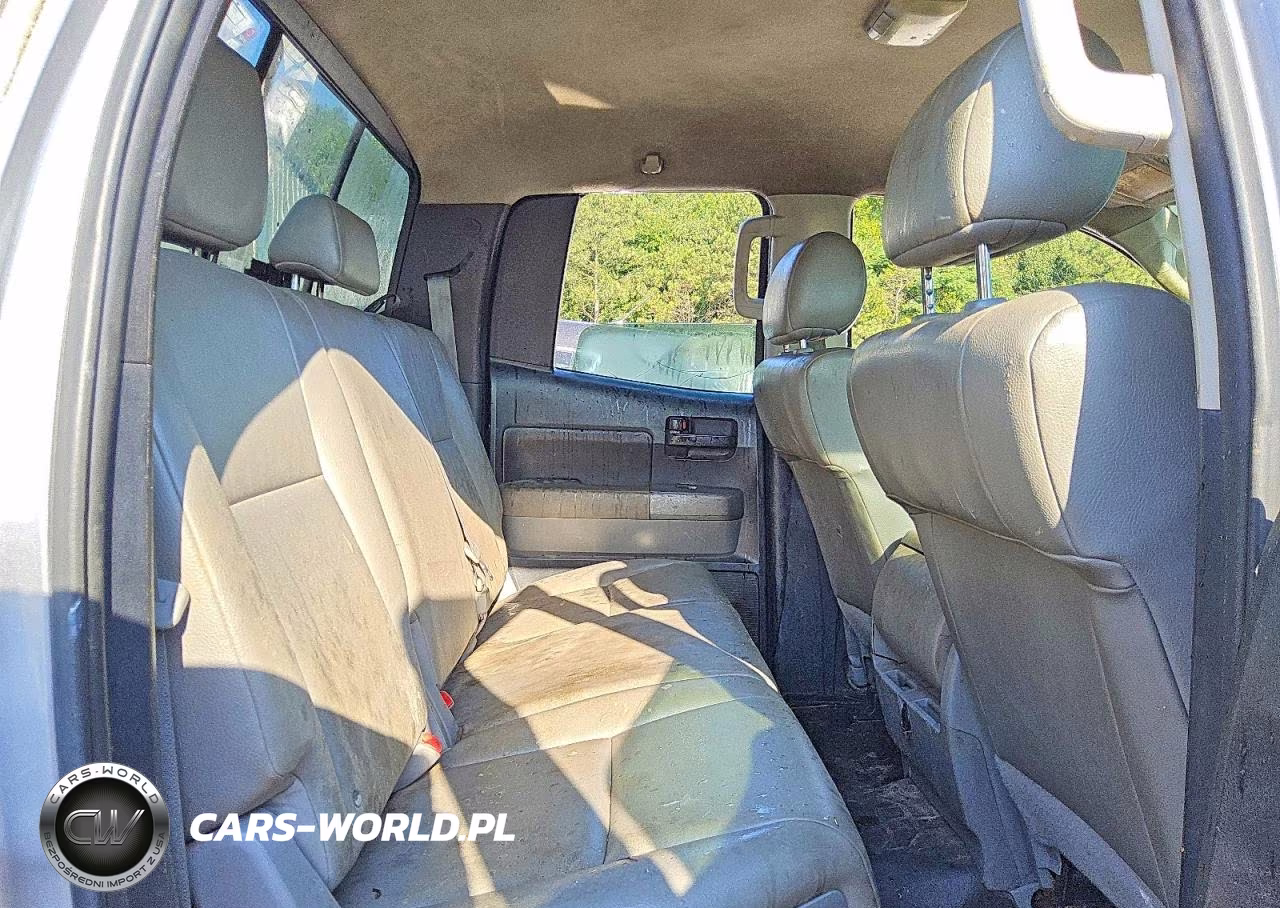 2010 Toyota Tundra Double Cab Sr5 VIN:5TFRU5F13AX023225 - 10