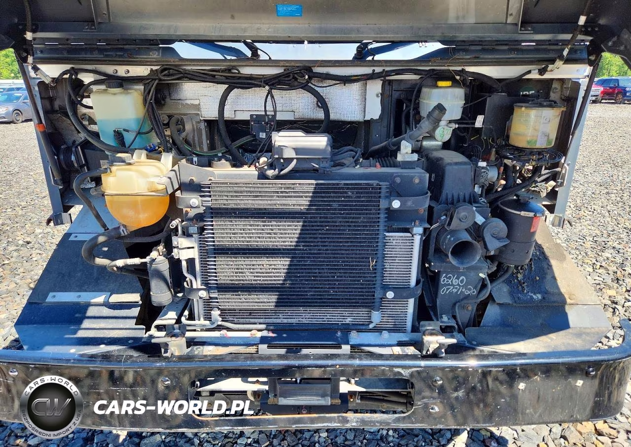 2020 Ford F59 Delivery Truck VIN:1F65F5KN8L0A06260 - 12