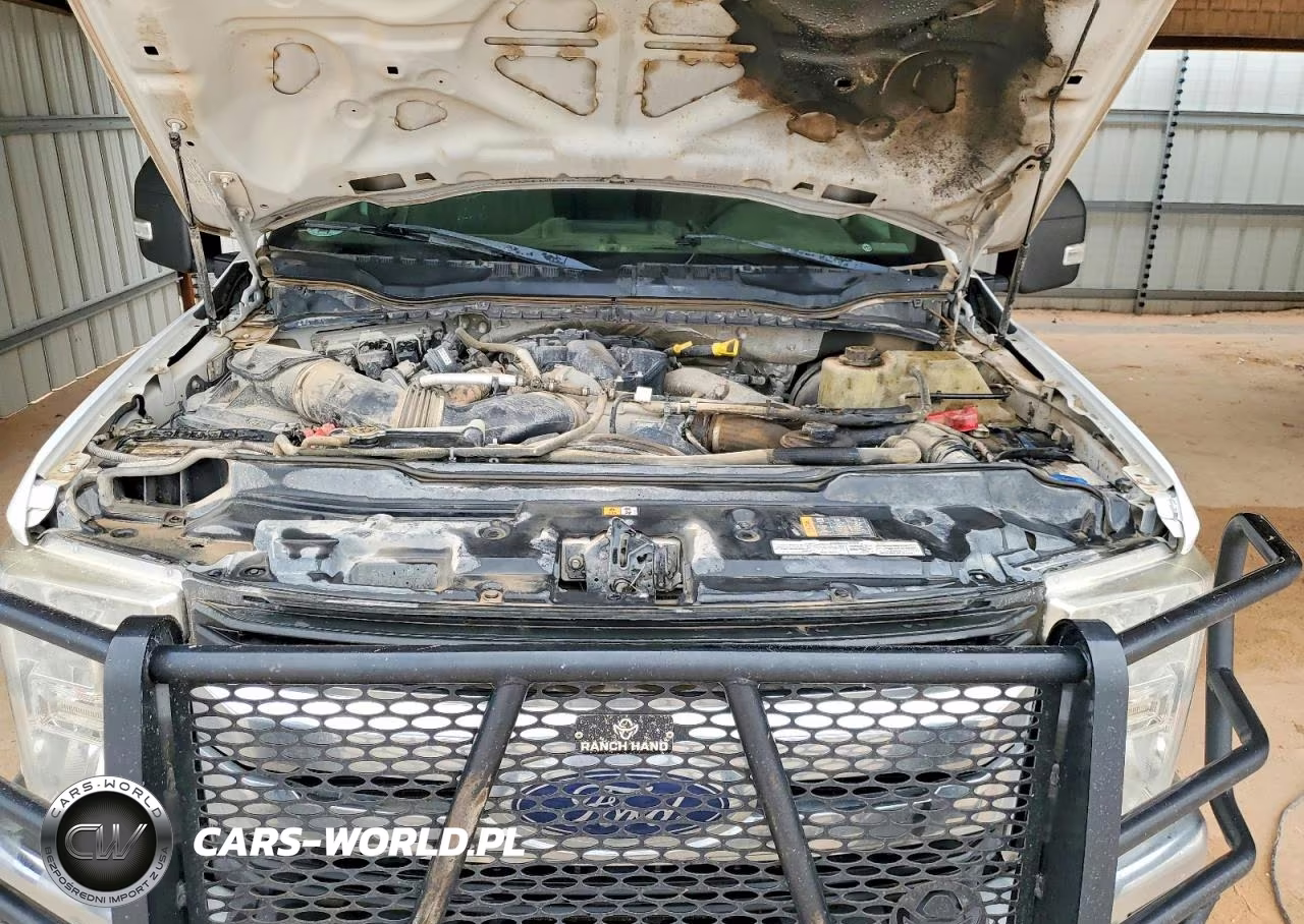 2019 Ford F250 Super Duty VIN:1FT7W2BT6KEC88810 - 11