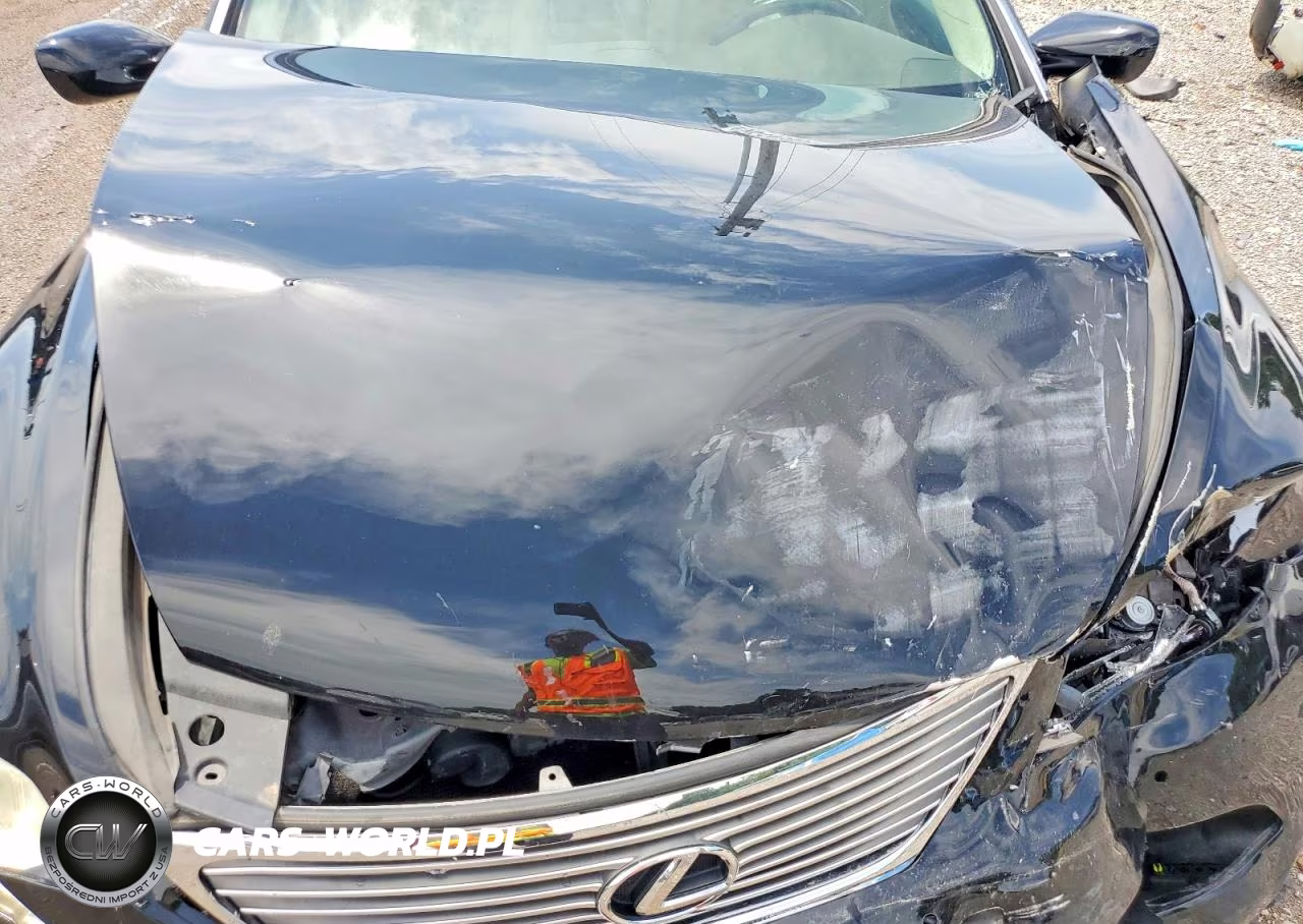 2007 Lexus Ls 460L VIN:JTHGL46F675006163 - 11