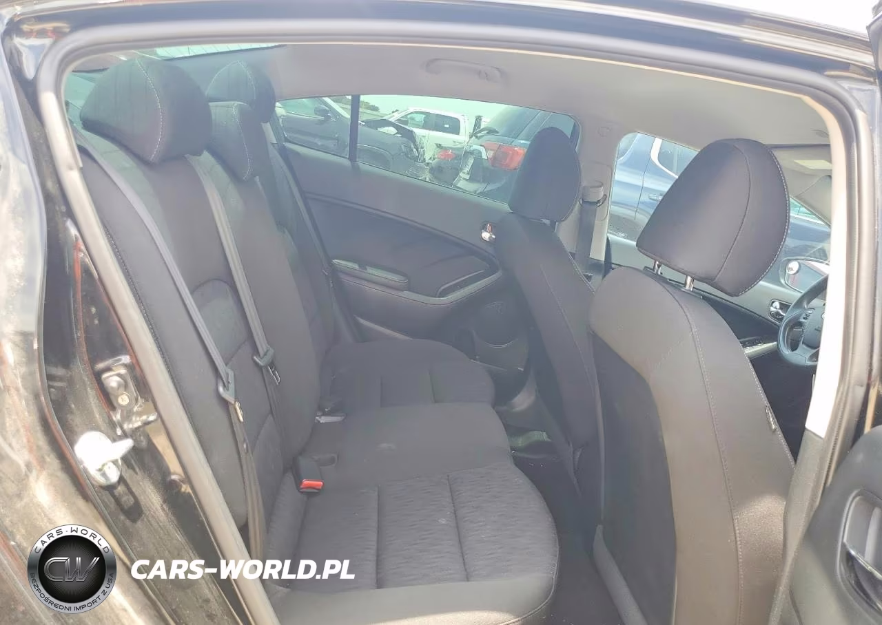 2016 Kia Forte Lx VIN:KNAFK4A60G5586630 - 10