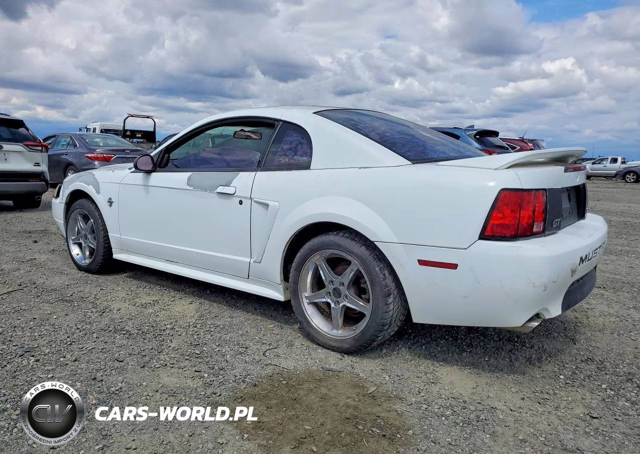 1999 Ford Mustang Gt VIN:1FAFP42X7XF125808 - 2