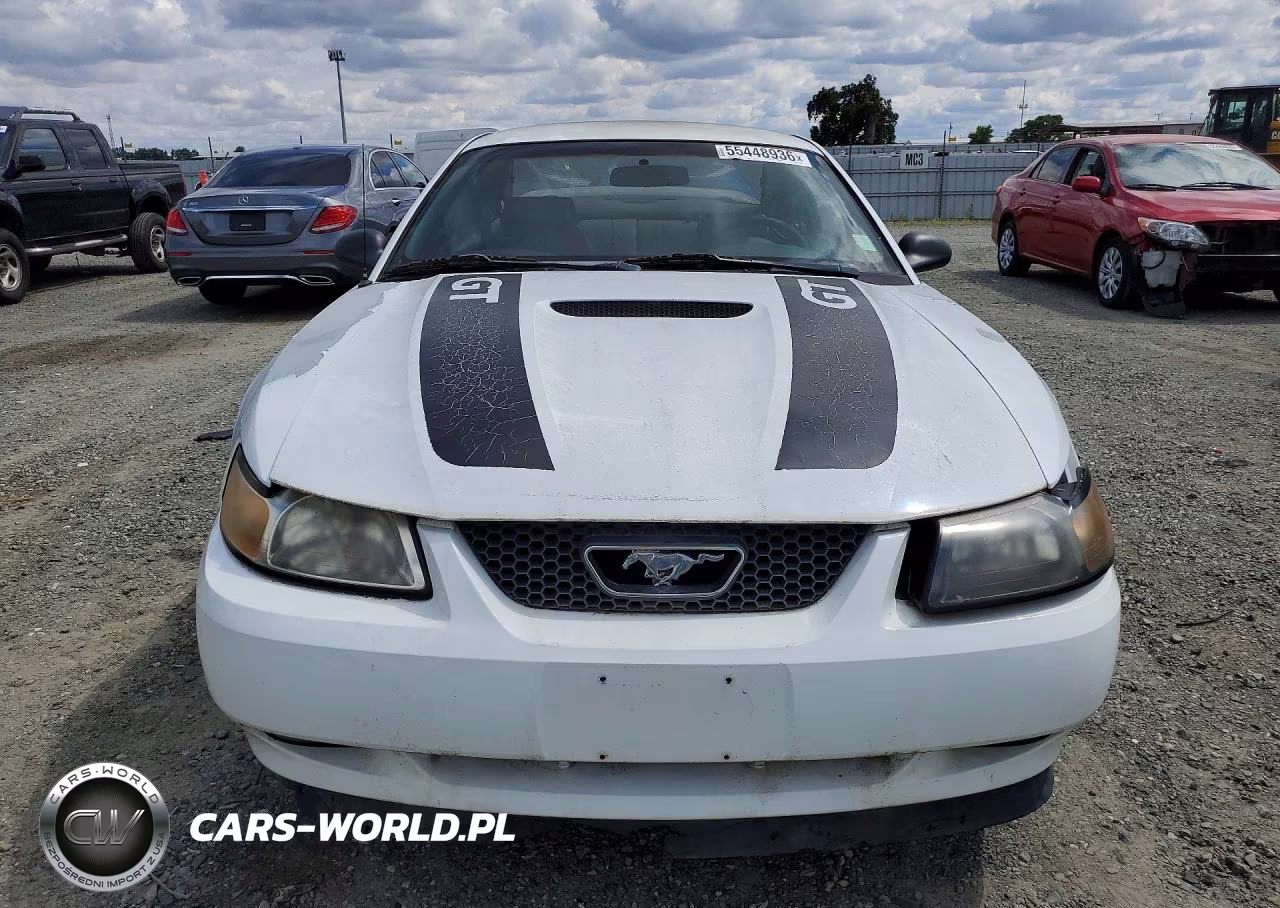 1999 Ford Mustang Gt VIN:1FAFP42X7XF125808 - 5