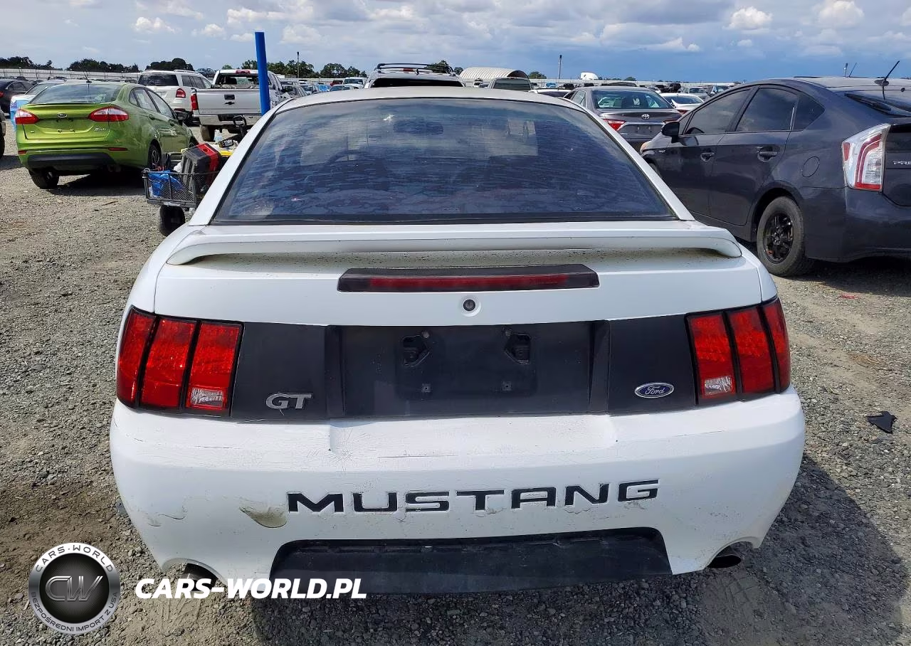 1999 Ford Mustang Gt VIN:1FAFP42X7XF125808 - 6