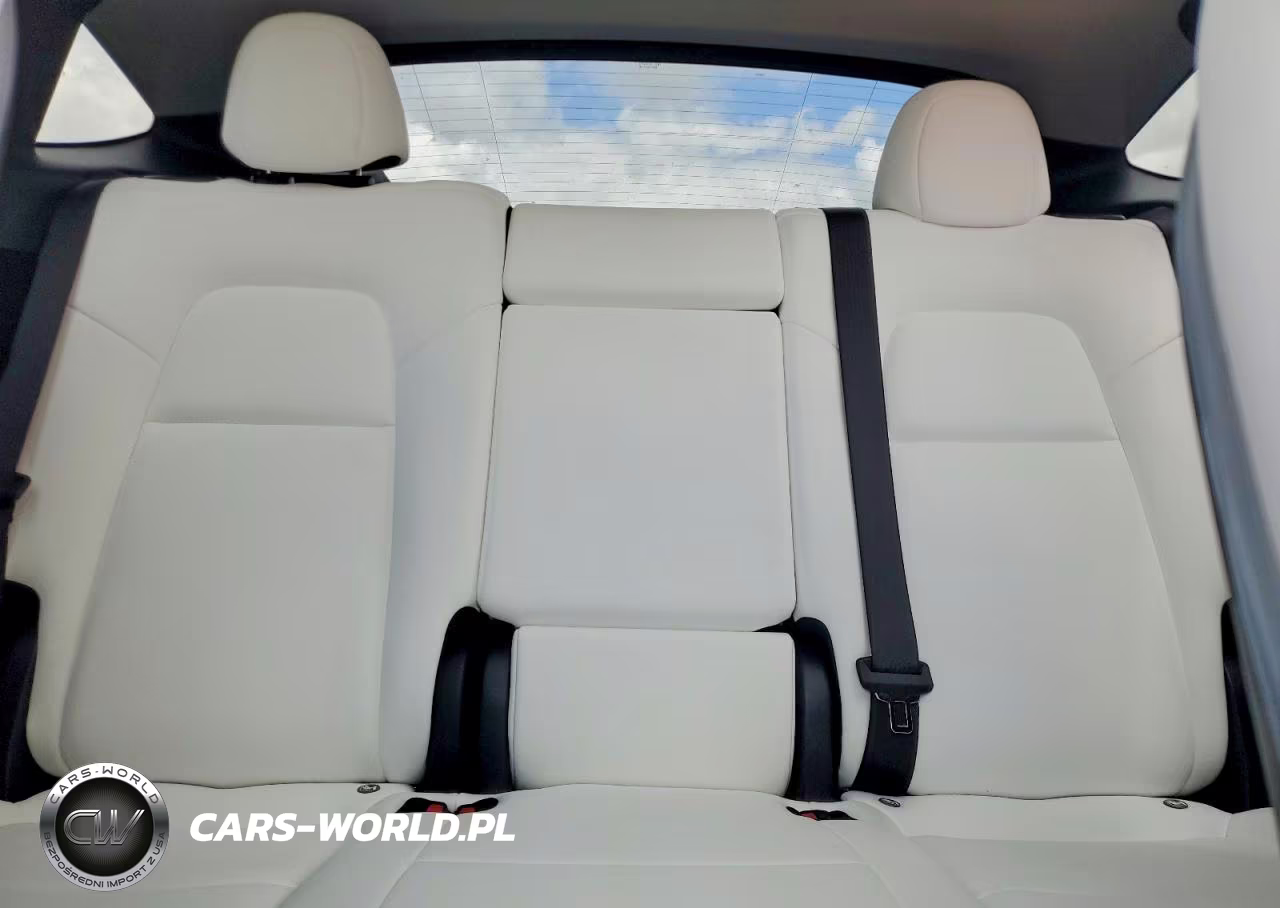 2024 Tesla Model Y VIN:7SAYGDEF0RF059294 - 10