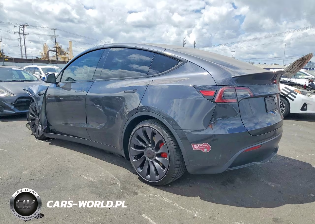 2024 Tesla Model Y VIN:7SAYGDEF0RF059294 - 2