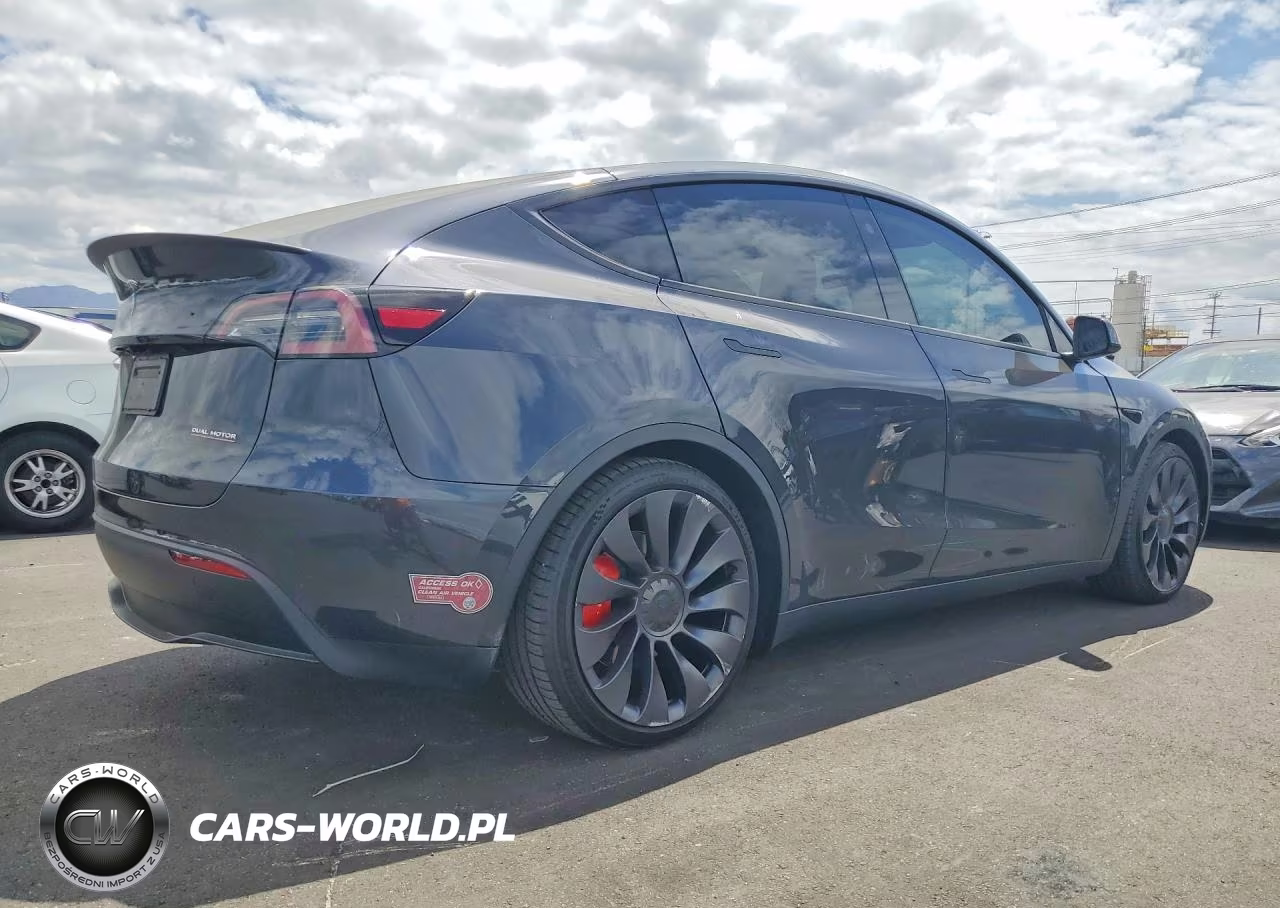 2024 Tesla Model Y VIN:7SAYGDEF0RF059294 - 3
