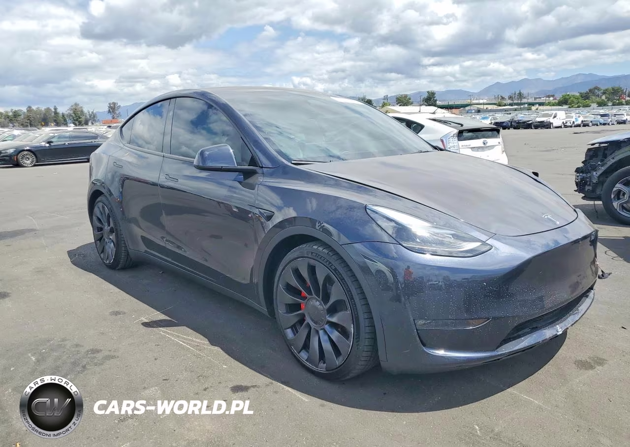2024 Tesla Model Y VIN:7SAYGDEF0RF059294 - 4