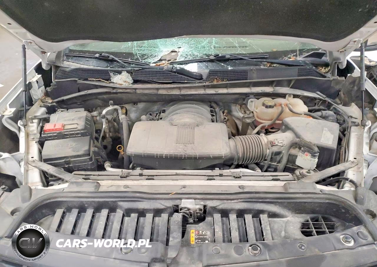 2019 Chevrolet Silverado K1500 Lt VIN:1GCUYDEDXKZ232813 - 11