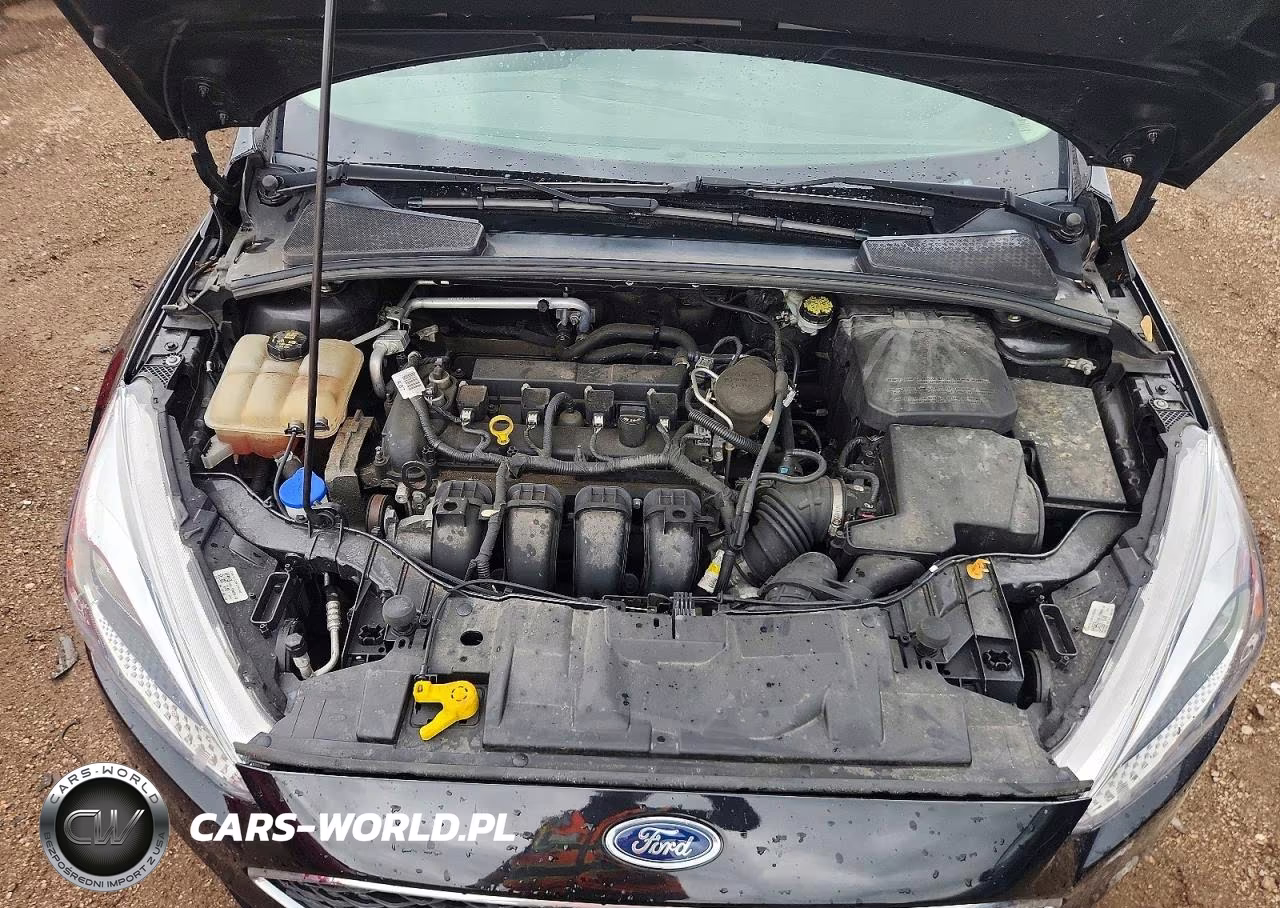 2016 Ford Focus VIN:1FADP3E20FL312325 - 11