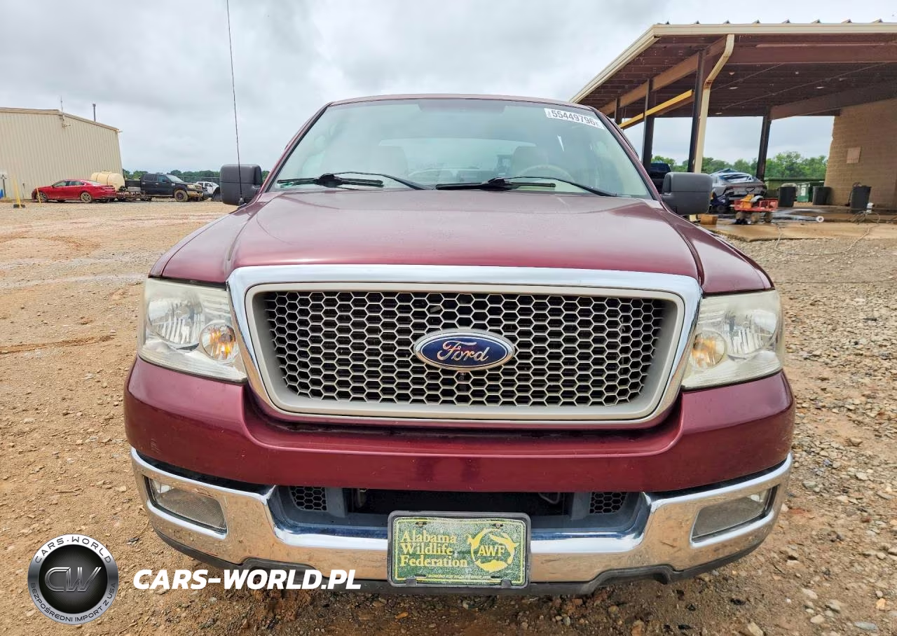 2004 Ford F150 VIN:1FTPX12564NA33893 - 5