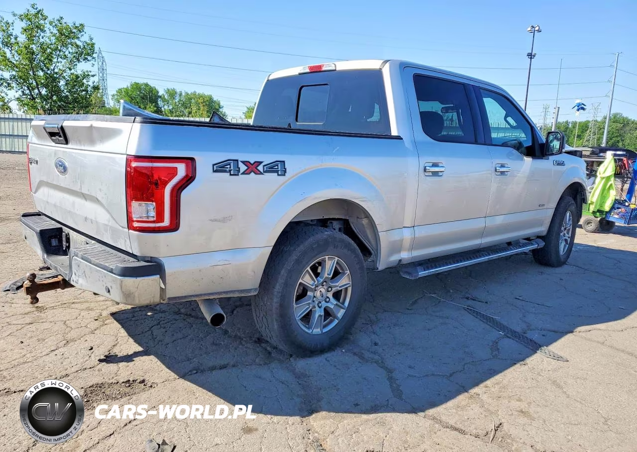 2017 Ford F150 Supercrew VIN:1FTEW1EP0HFC45017 - 3