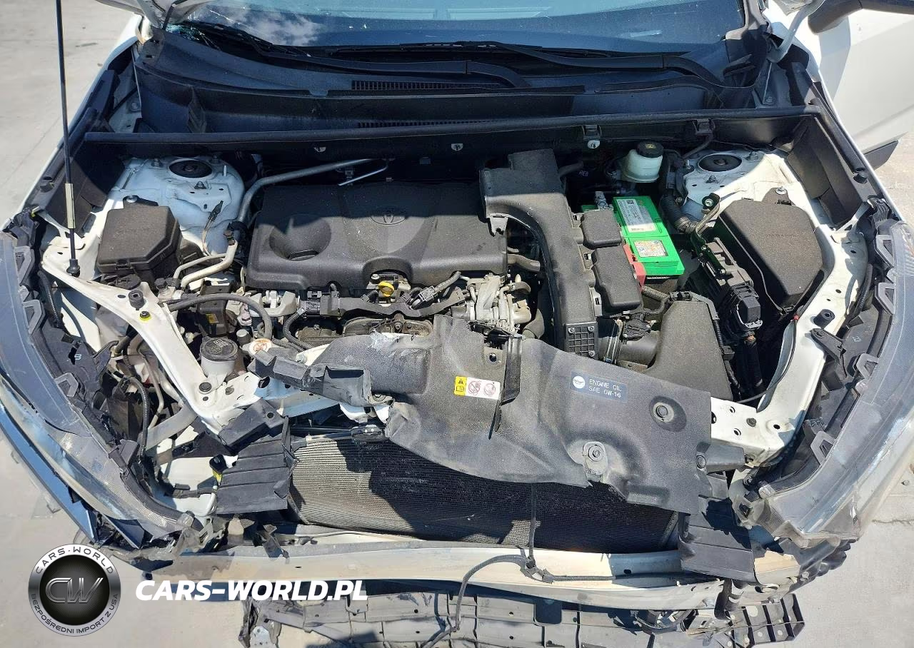 2019 Toyota Rav4 Xle VIN:JTMW1RFVXKD516229 - 11