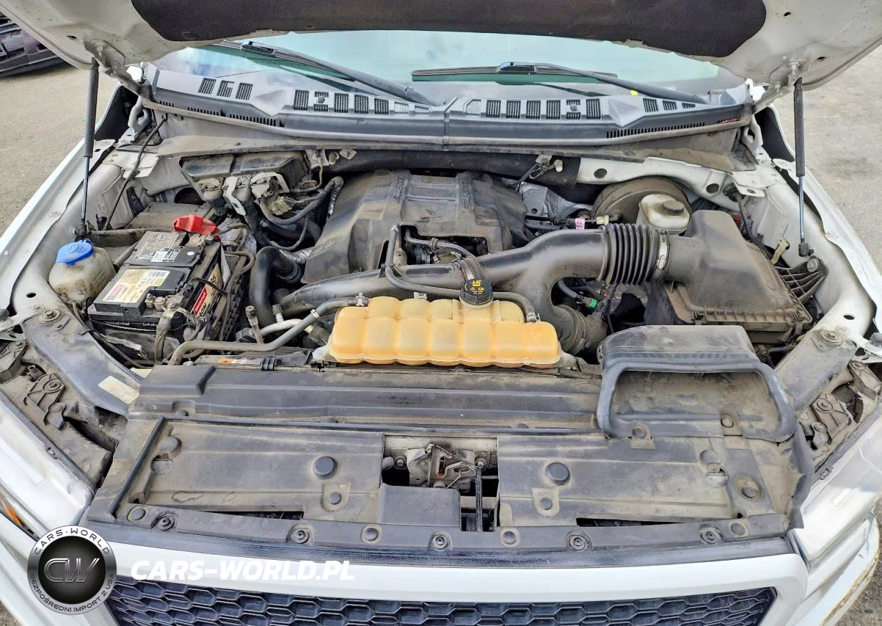 2018 Ford F150 Supercrew VIN:1FTEW1CP7JKD03463 - 11