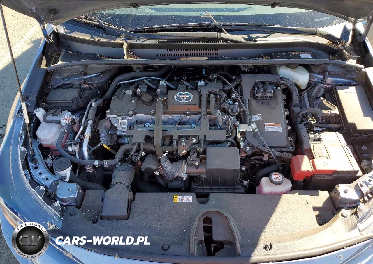 2021 Toyota Corolla Le VIN:JTDEAMDE3MJ001210 - 11