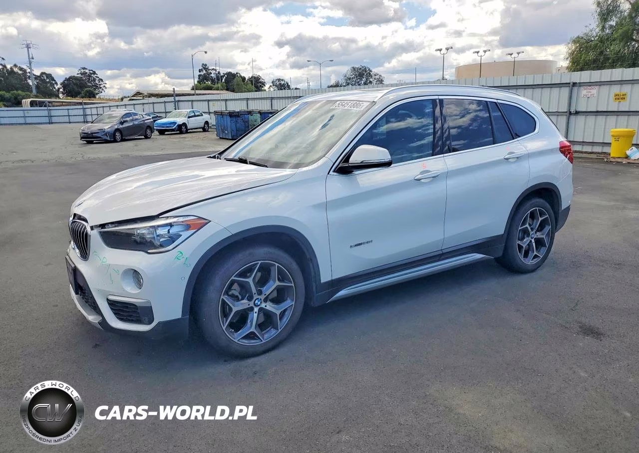 2017 BMW X1 Sdrive28I – zdjęcie 1 z 12
