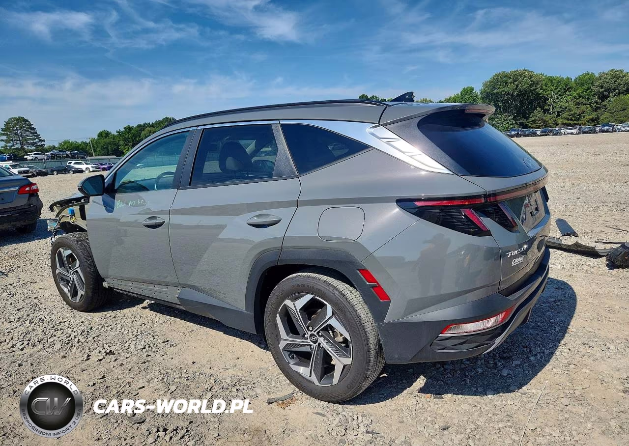 2024 Hyundai Tucson Sel VIN:5NMJF3DE5RH431098 - 2