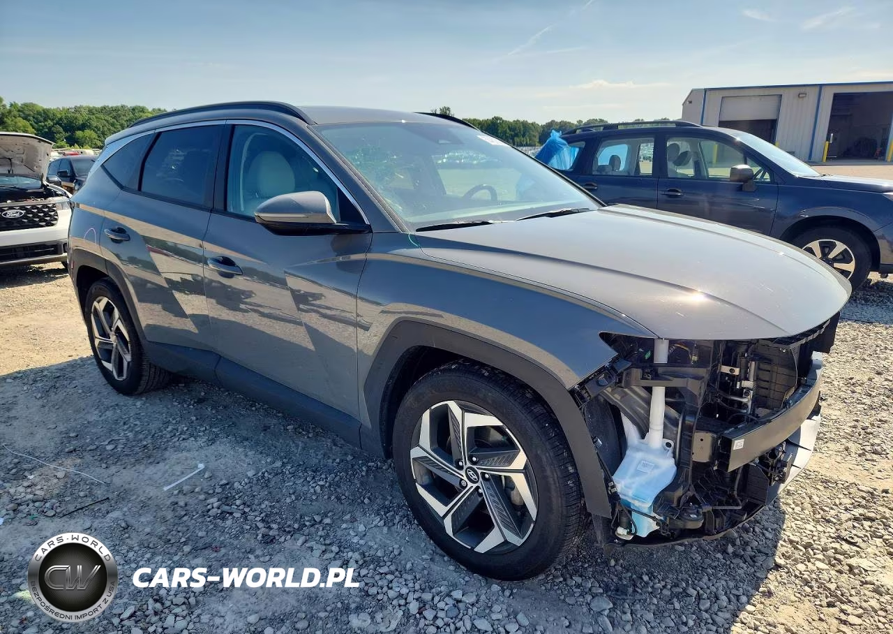 2024 Hyundai Tucson Sel VIN:5NMJF3DE5RH431098 - 4