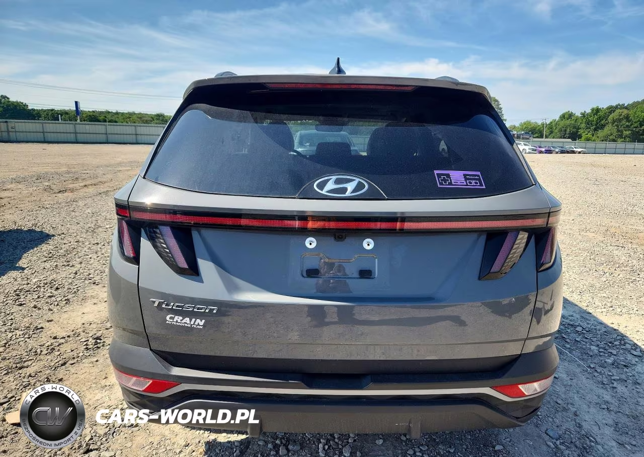 2024 Hyundai Tucson Sel VIN:5NMJF3DE5RH431098 - 6