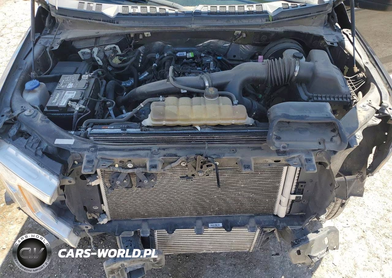 2020 Ford F150 Supercrew VIN:1FTEW1CPXLKD24830 - 11