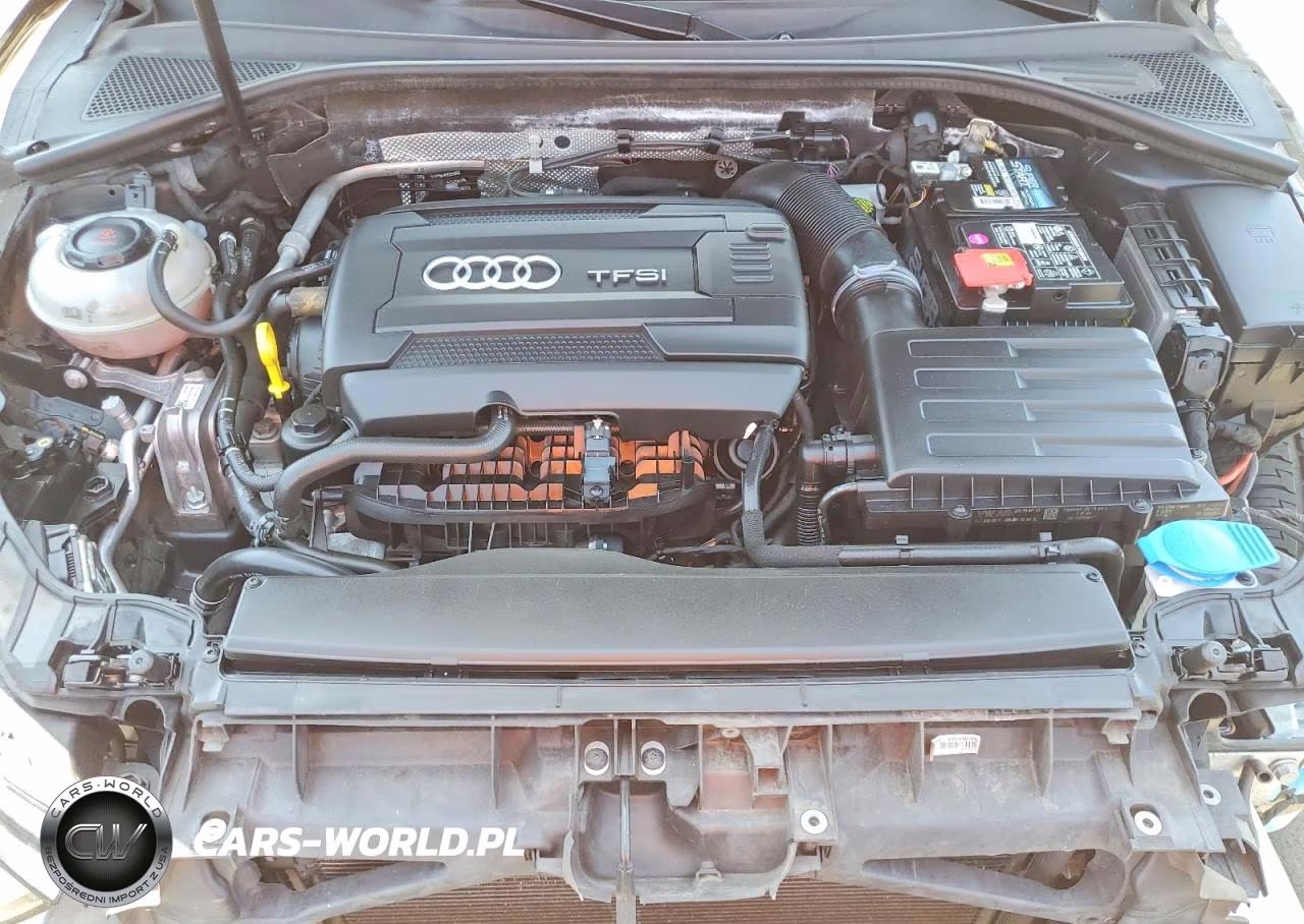 2019 Audi A3 Premium Plus VIN:WAUJEGFFXKA092982 - 11