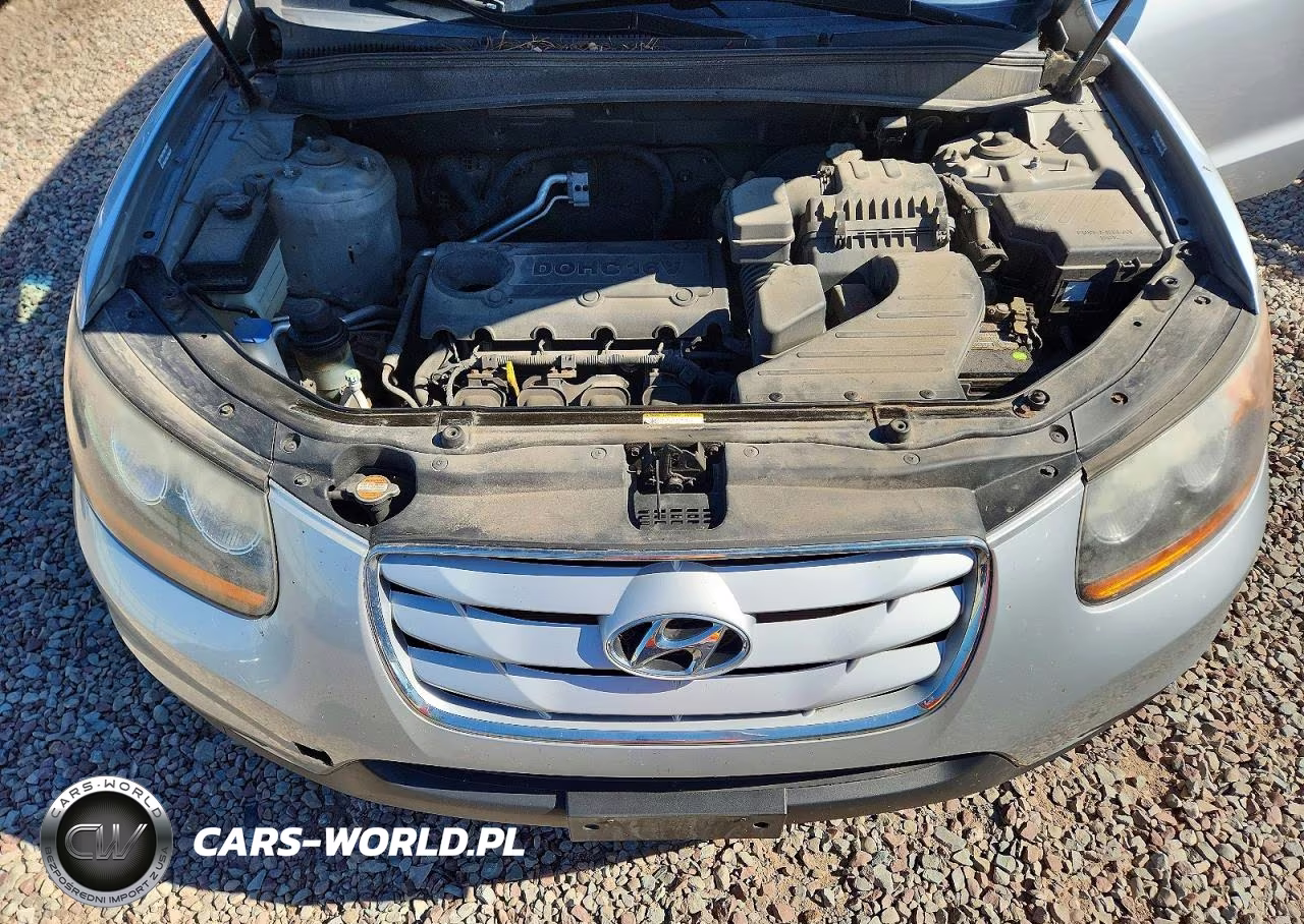 2010 Hyundai Santa Fe Gls VIN:5NMSG3AB6AH414438 - 12