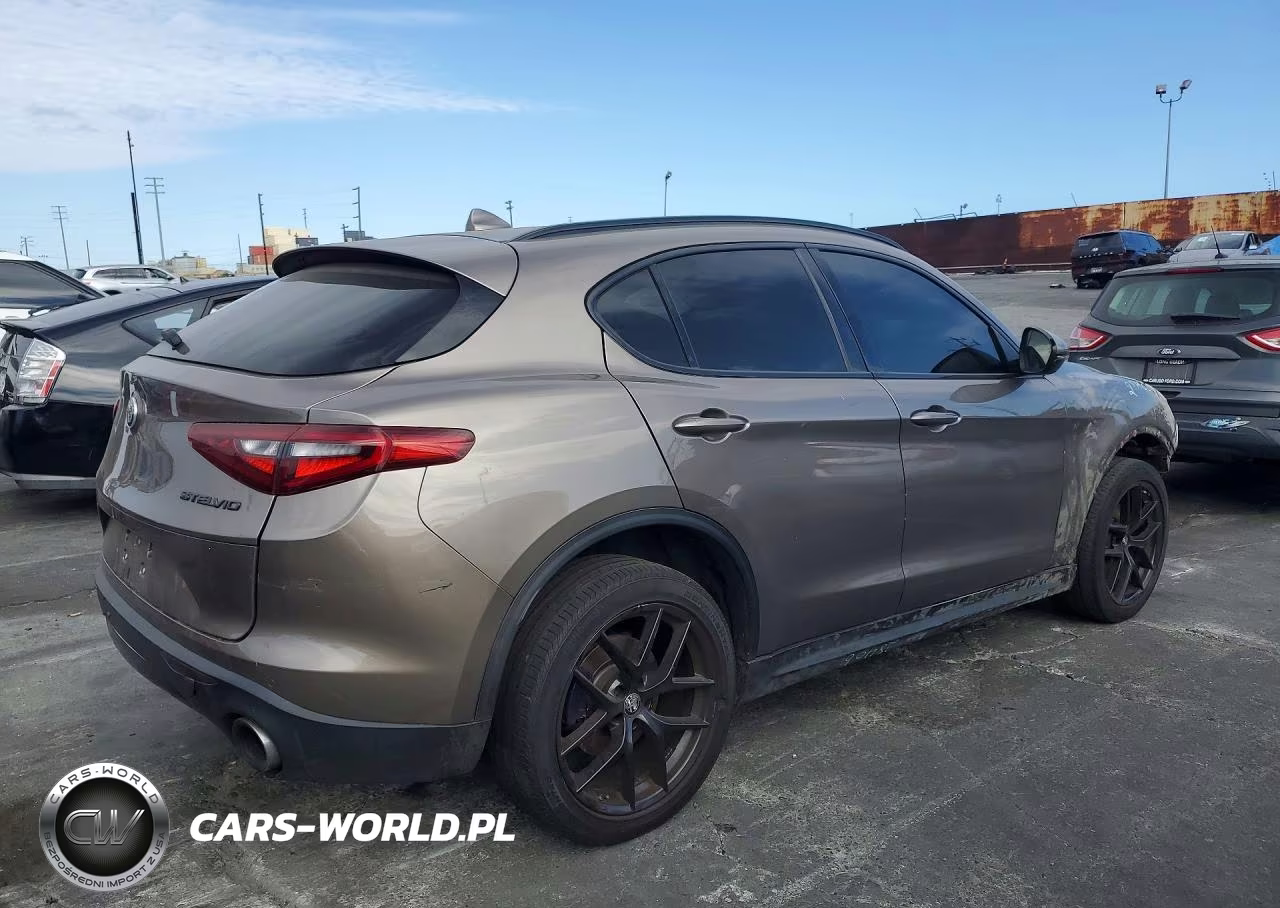 2019 Alfa Romeo Stelvio VIN:ZASPAKAN5K7C32788 - 3