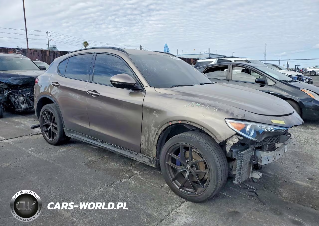 2019 Alfa Romeo Stelvio VIN:ZASPAKAN5K7C32788 - 4