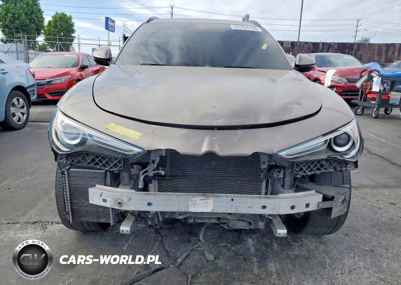 2019 Alfa Romeo Stelvio VIN:ZASPAKAN5K7C32788 - 5