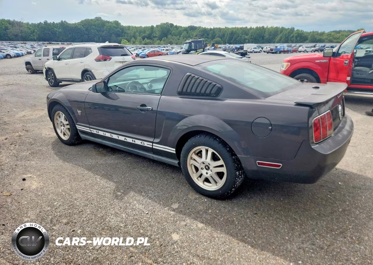 2009 Ford Mustang VIN:1ZVHT80N095126179 - 2