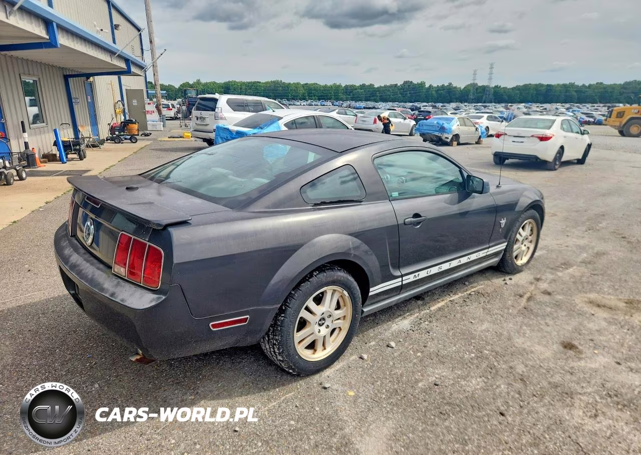 2009 Ford Mustang VIN:1ZVHT80N095126179 - 3
