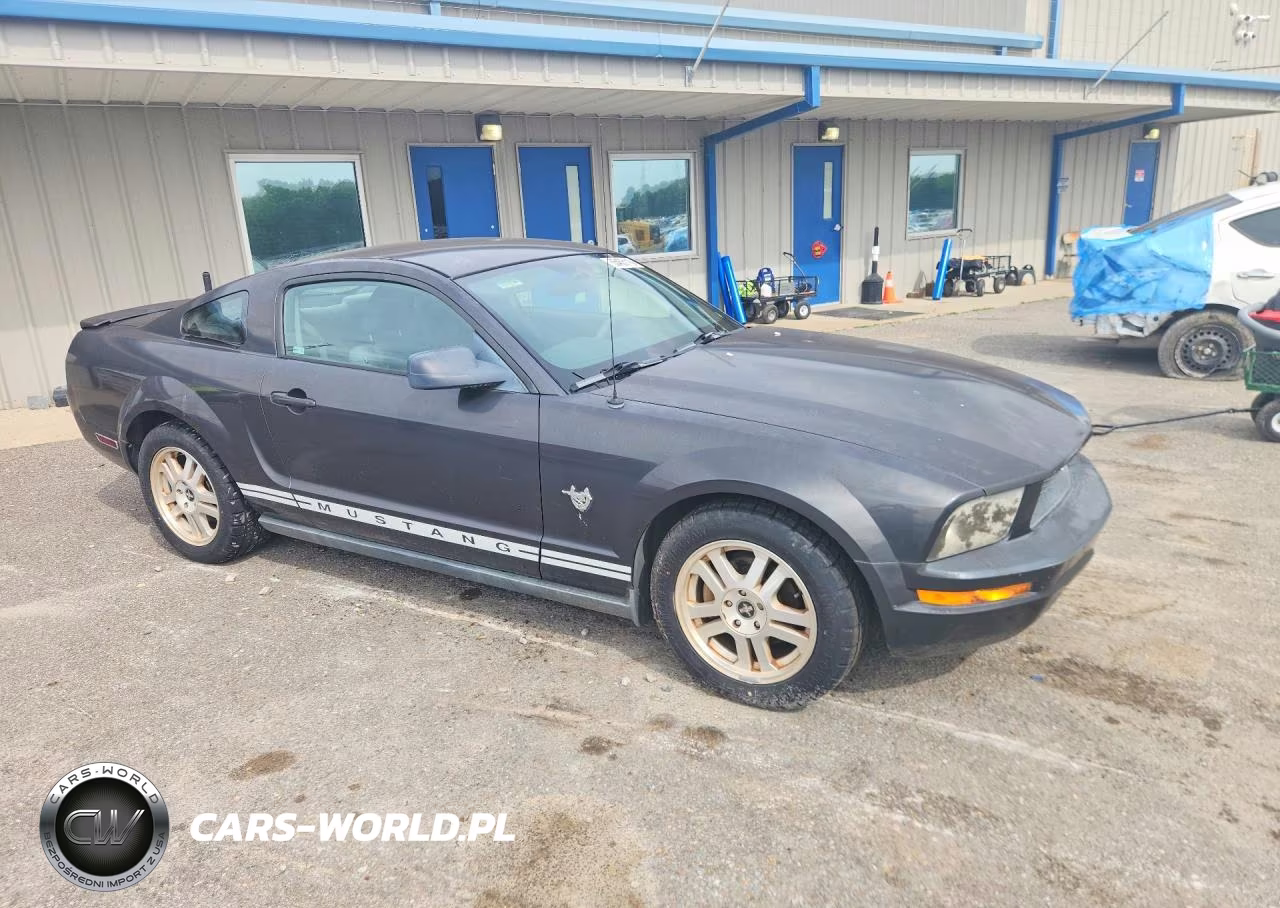 2009 Ford Mustang VIN:1ZVHT80N095126179 - 4