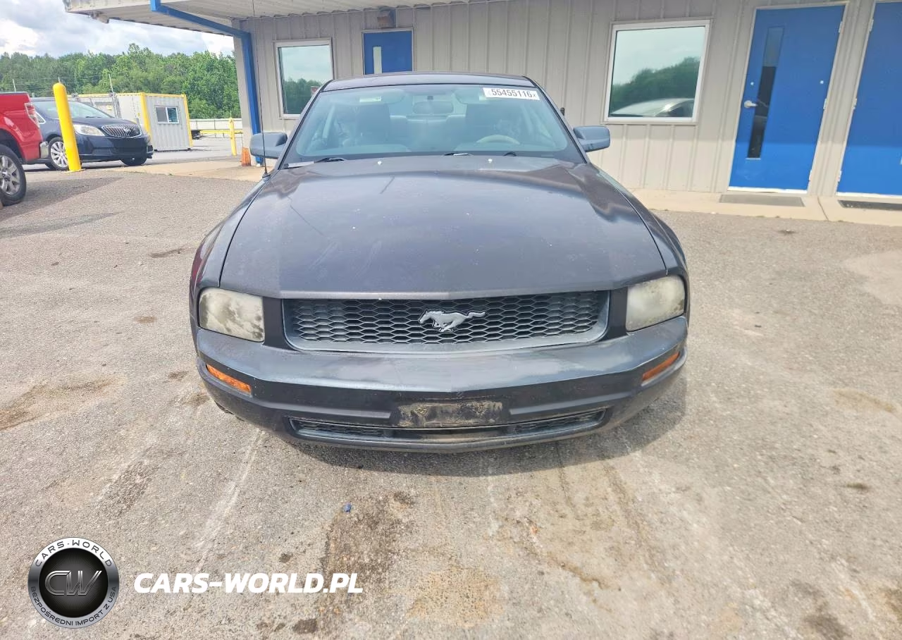 2009 Ford Mustang VIN:1ZVHT80N095126179 - 5