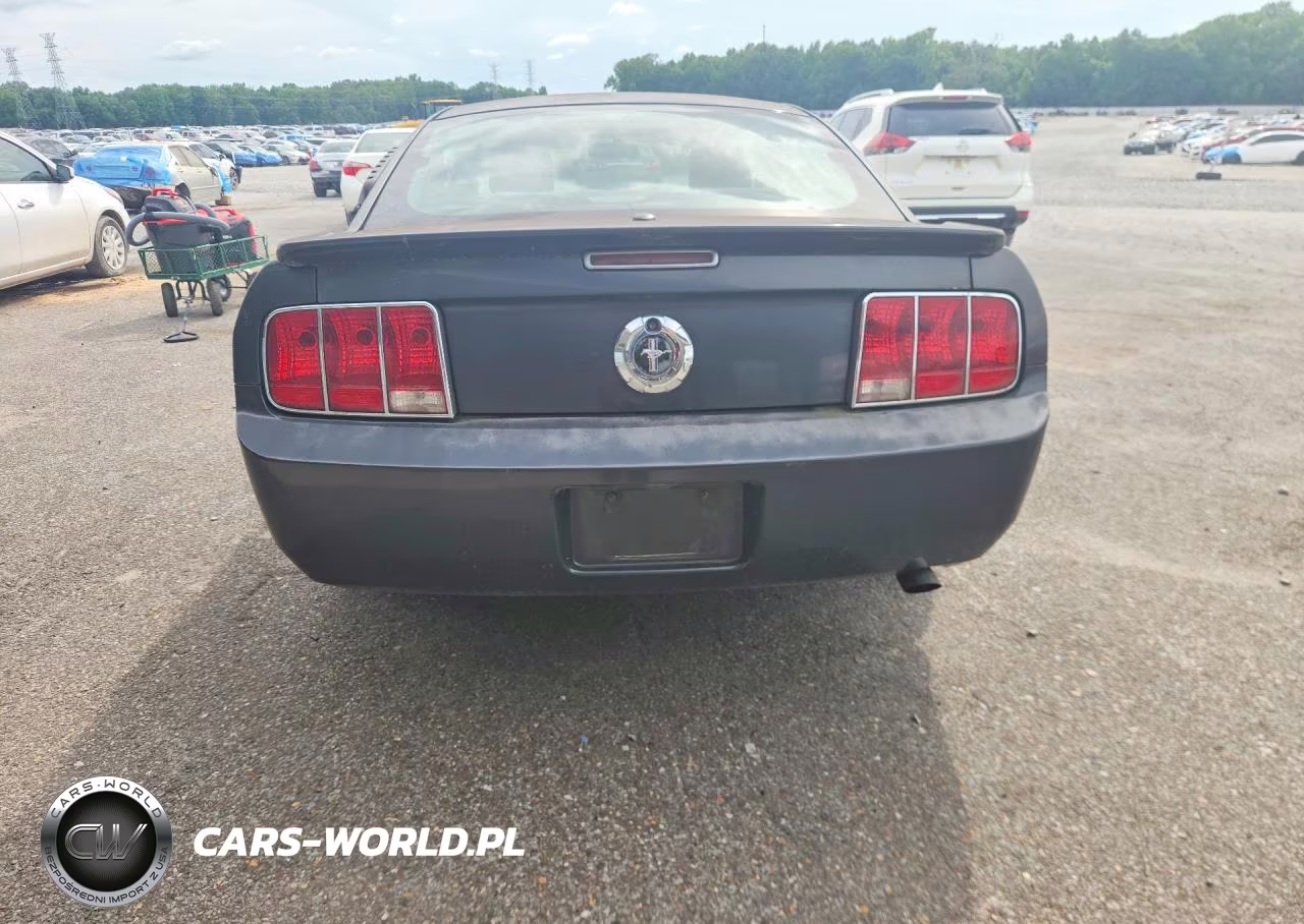 2009 Ford Mustang VIN:1ZVHT80N095126179 - 6