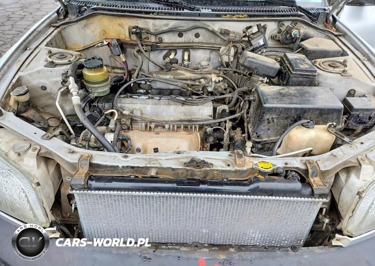 1997 Toyota Rav4 Base VIN:JT3HP10V9V0128250 - 11