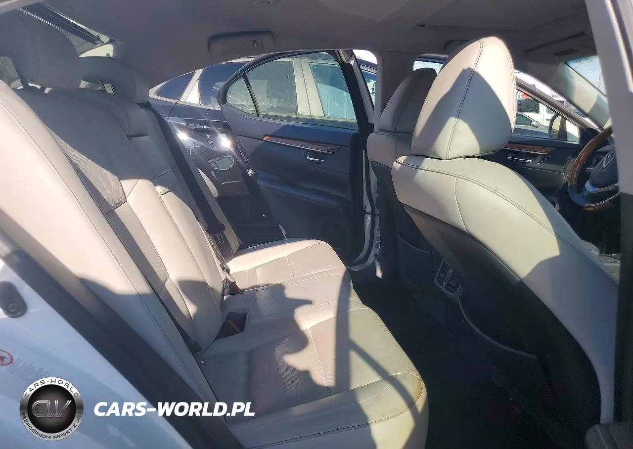 2014 Lexus Es 300H VIN:JTHBW1GG4E2066030 - 10