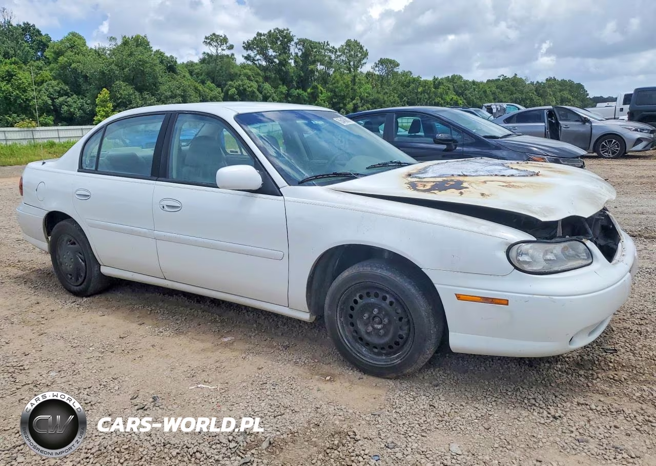 1999 Chevrolet Malibu VIN:1G1ND52M4XY122226 - 4
