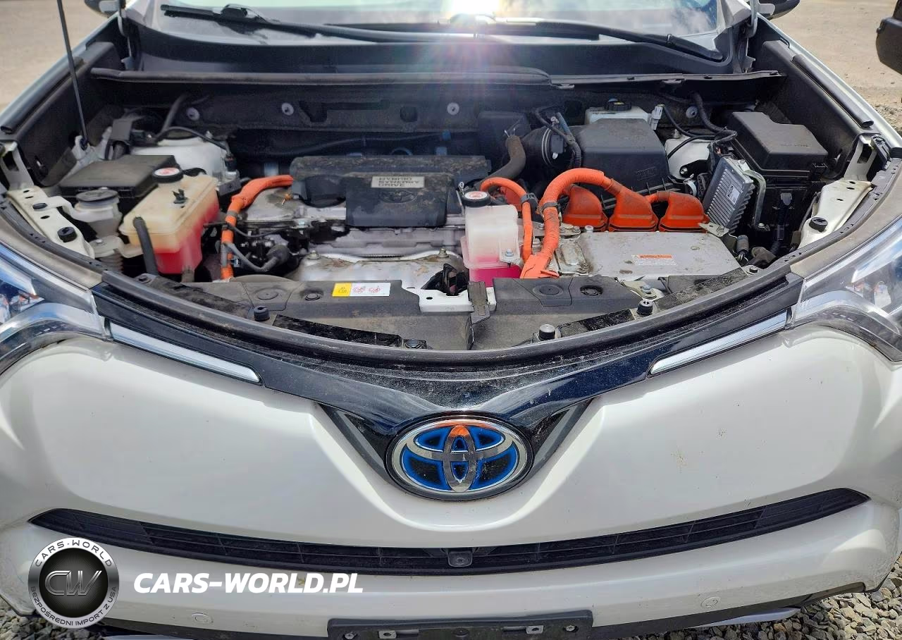 2017 Toyota Rav4 Hv Limited VIN:JTMDJREV7HD117974 - 12