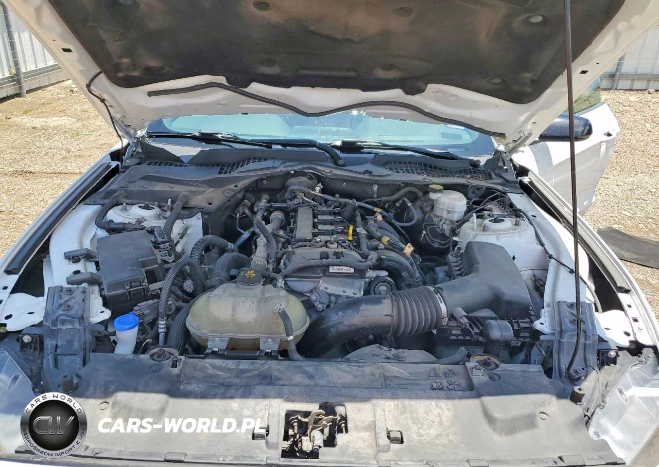 2021 Ford Mustang VIN:1FA6P8TH2M5148834 - 11