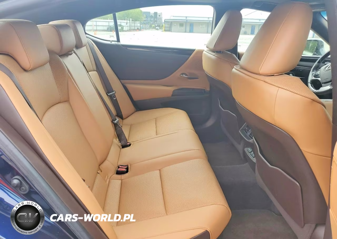 2021 Lexus Es 300H VIN:58ADA1C19MU004110 - 10