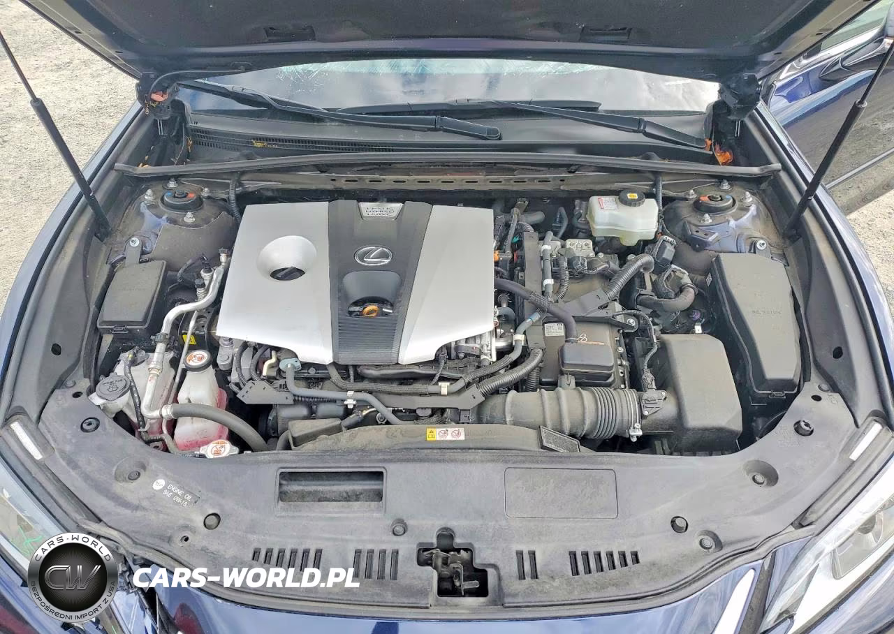 2021 Lexus Es 300H VIN:58ADA1C19MU004110 - 11
