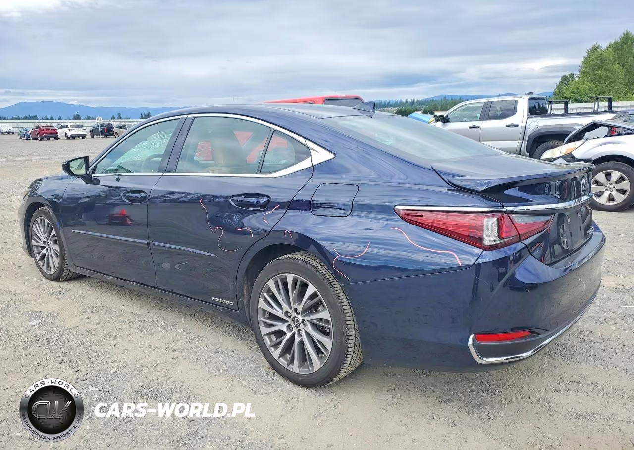 2021 Lexus Es 300H VIN:58ADA1C19MU004110 - 2