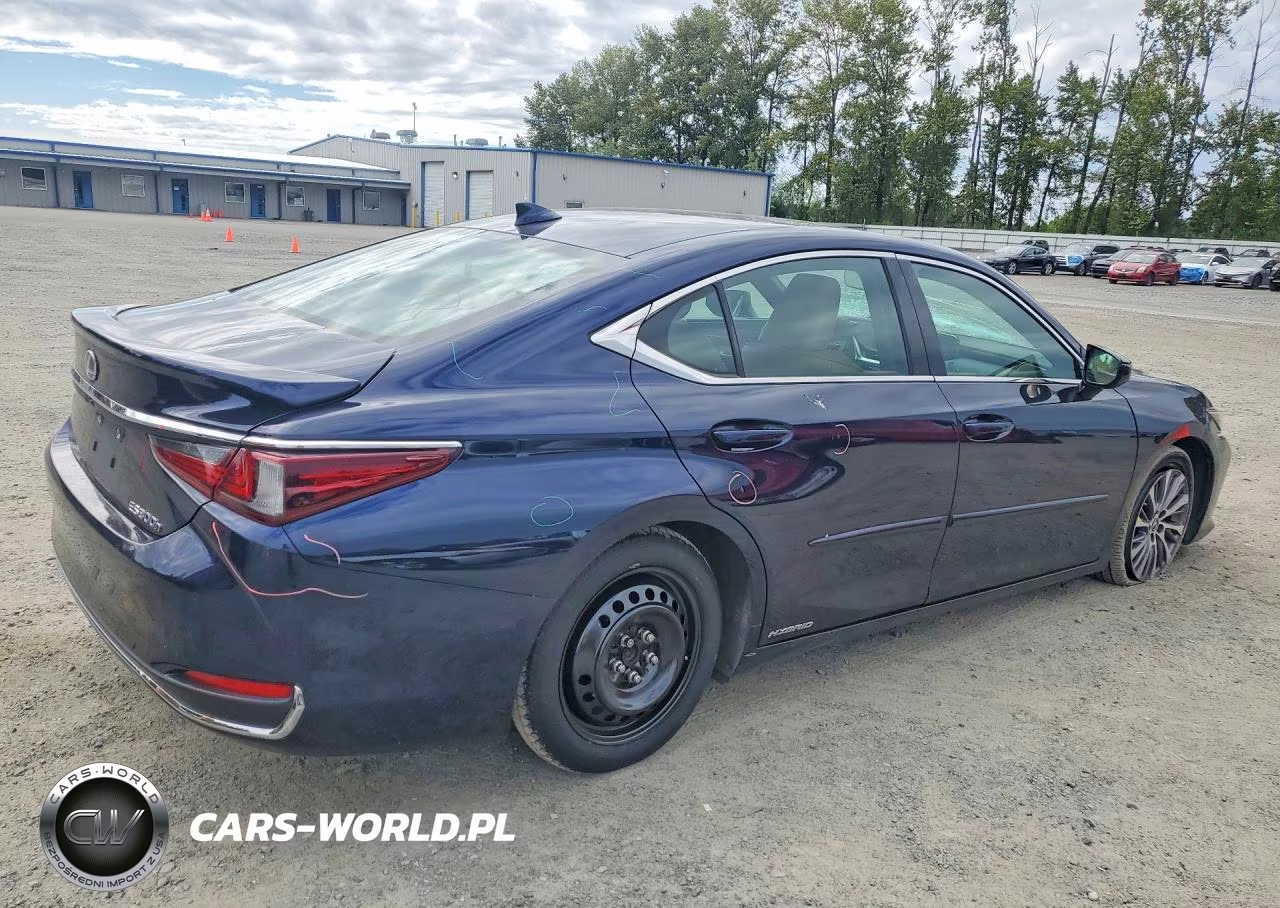 2021 Lexus Es 300H VIN:58ADA1C19MU004110 - 3