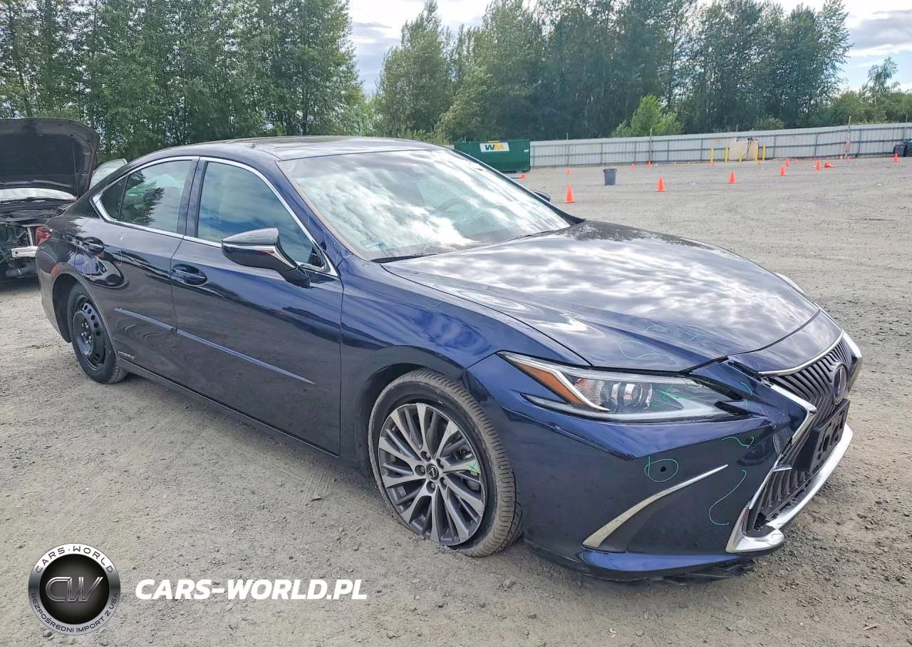2021 Lexus Es 300H VIN:58ADA1C19MU004110 - 4