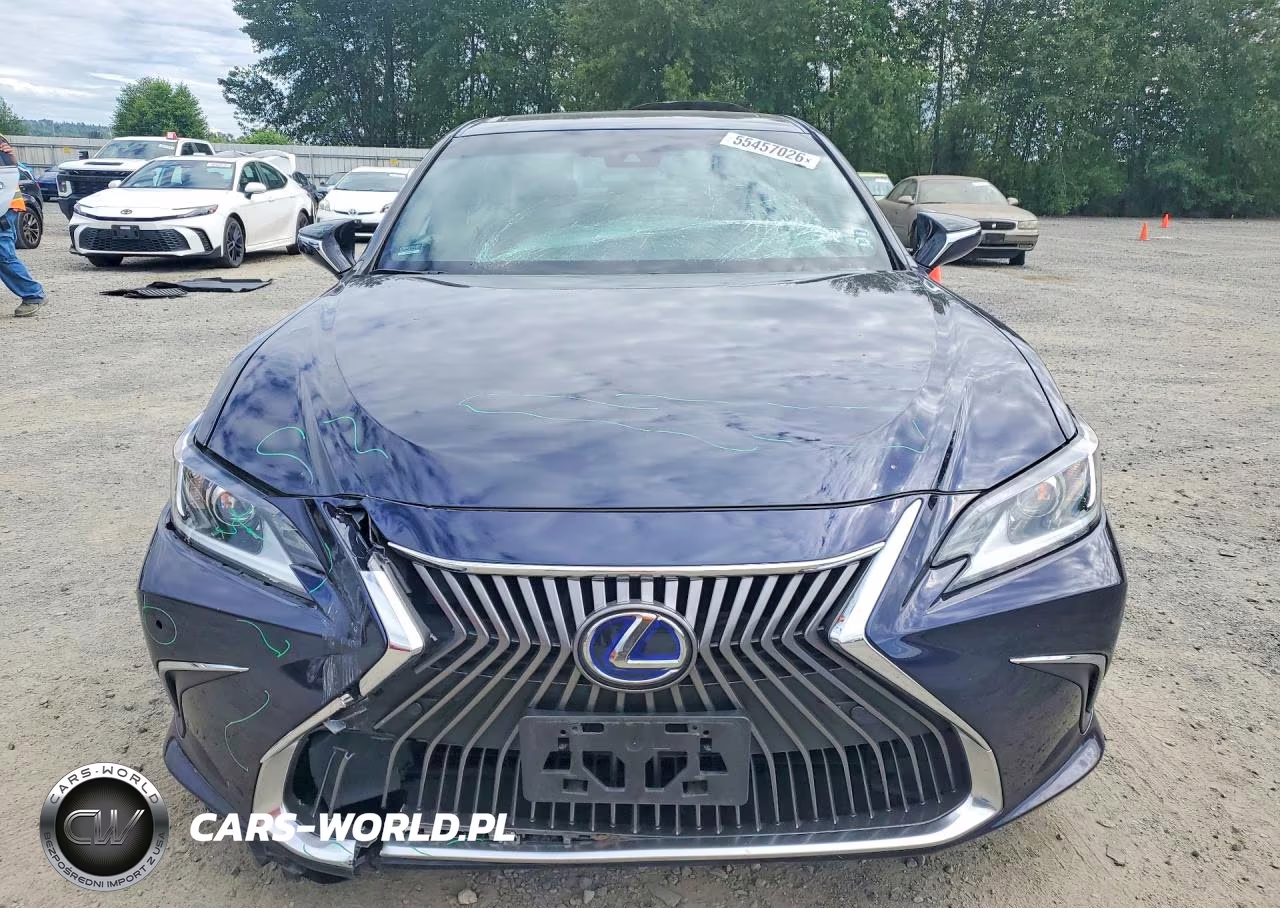 2021 Lexus Es 300H VIN:58ADA1C19MU004110 - 5