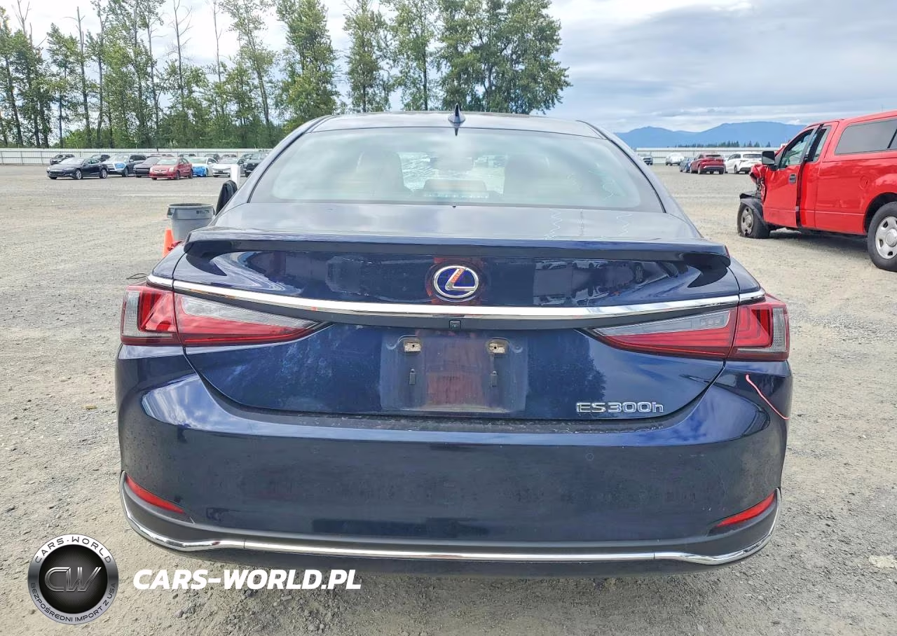 2021 Lexus Es 300H VIN:58ADA1C19MU004110 - 6